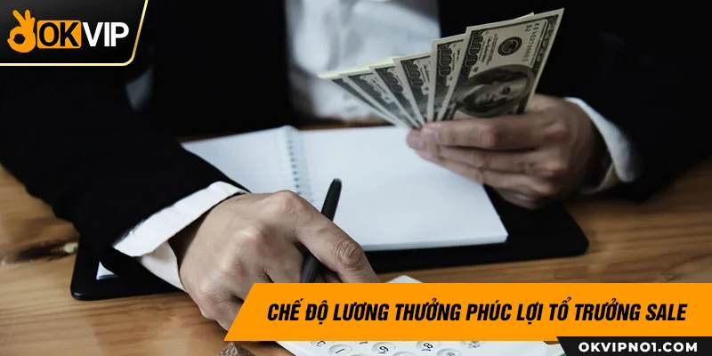 Tổ trưởng sale tại OKVIP có mức lương hấp dẫn hơn so với đối thủ