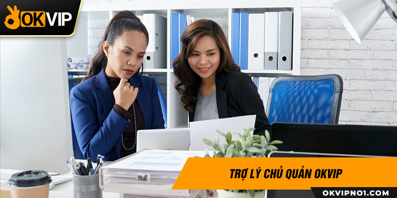 Trợ lý chủ quản OKVIP