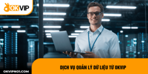 Dịch vụ quản lý dữ liệu khách hàng OKVIP