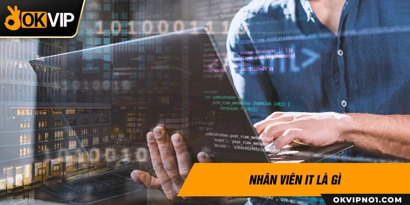 Nhân viên IT website là gì ?