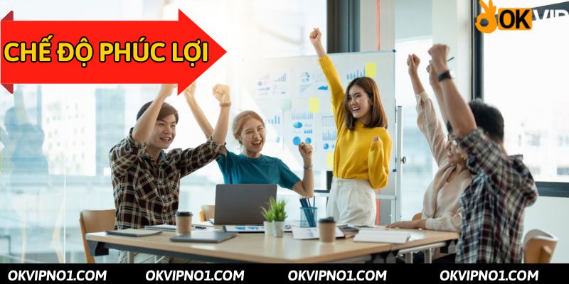 Đãi ngộ từ vị trí từ việc làm Google Ads OKVIP