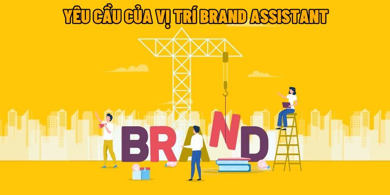 Yêu cầu của vị trí Brand Assistant tại OKVIP