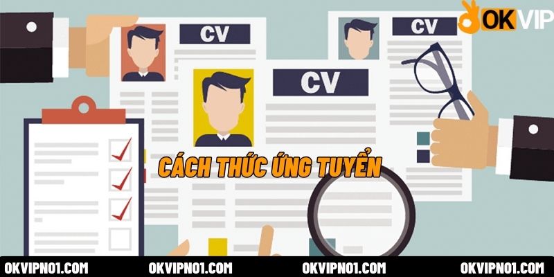 Quy trình ứng tuyển vị trí nhân viên tuyển dụng online OKVIP