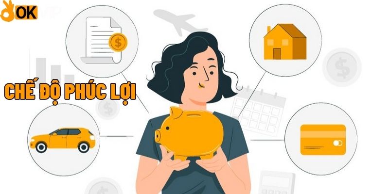 Mức lương thưởng hấp dẫn tại OKVIP