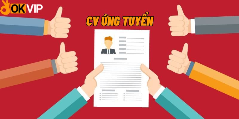 Gửi CV ứng tuyển về OKVIP