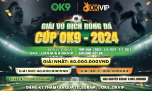 Giải vô địch bóng đá cup OK9