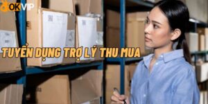 Tuyển dụng trợ lý thu mua tại OKVIP