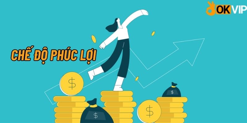 Chế độ phúc lợi trợ lý quản lý ngân hàng tại công ty OKVIP